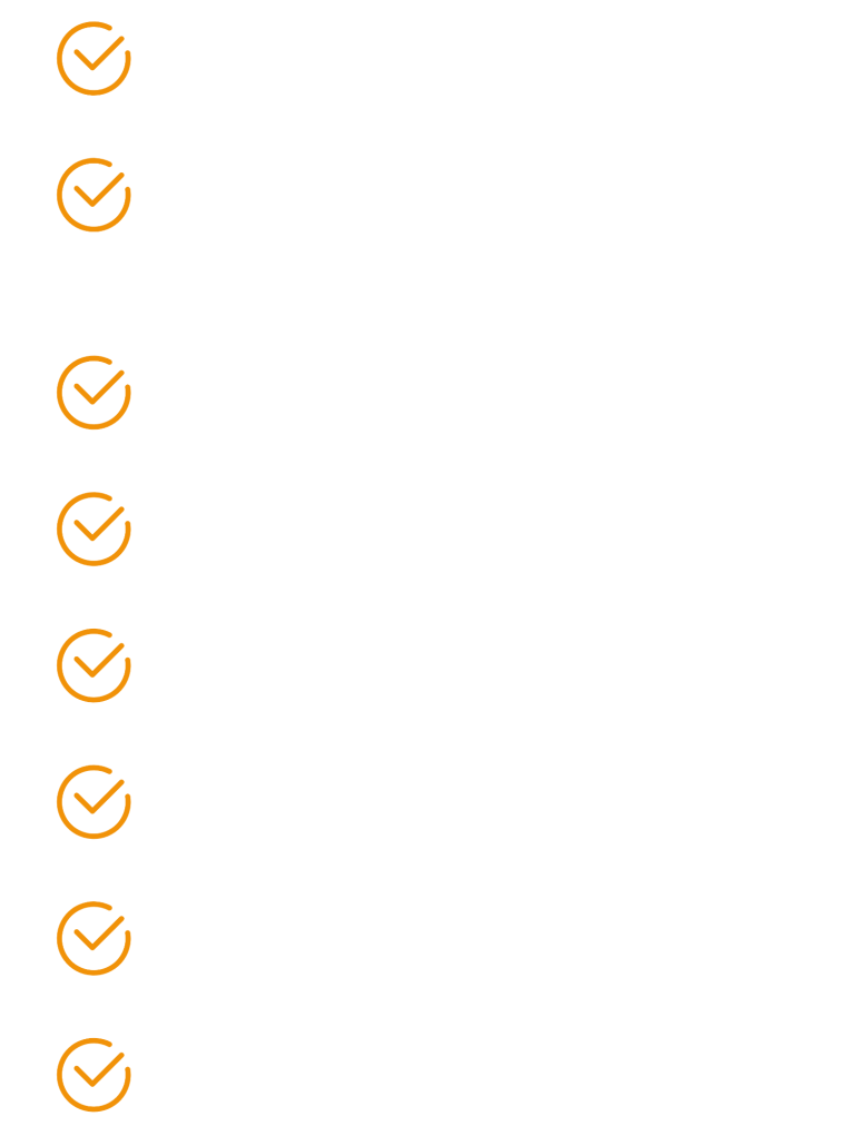 Leistungen der b12 AG IT-Leistungen der b12 AG